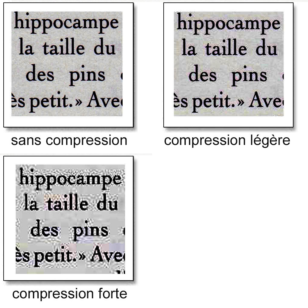 G rer Le Poids D un Document PDF Scann Les Ressources Du RISET