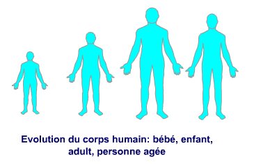 Age – Pharmacokinetics